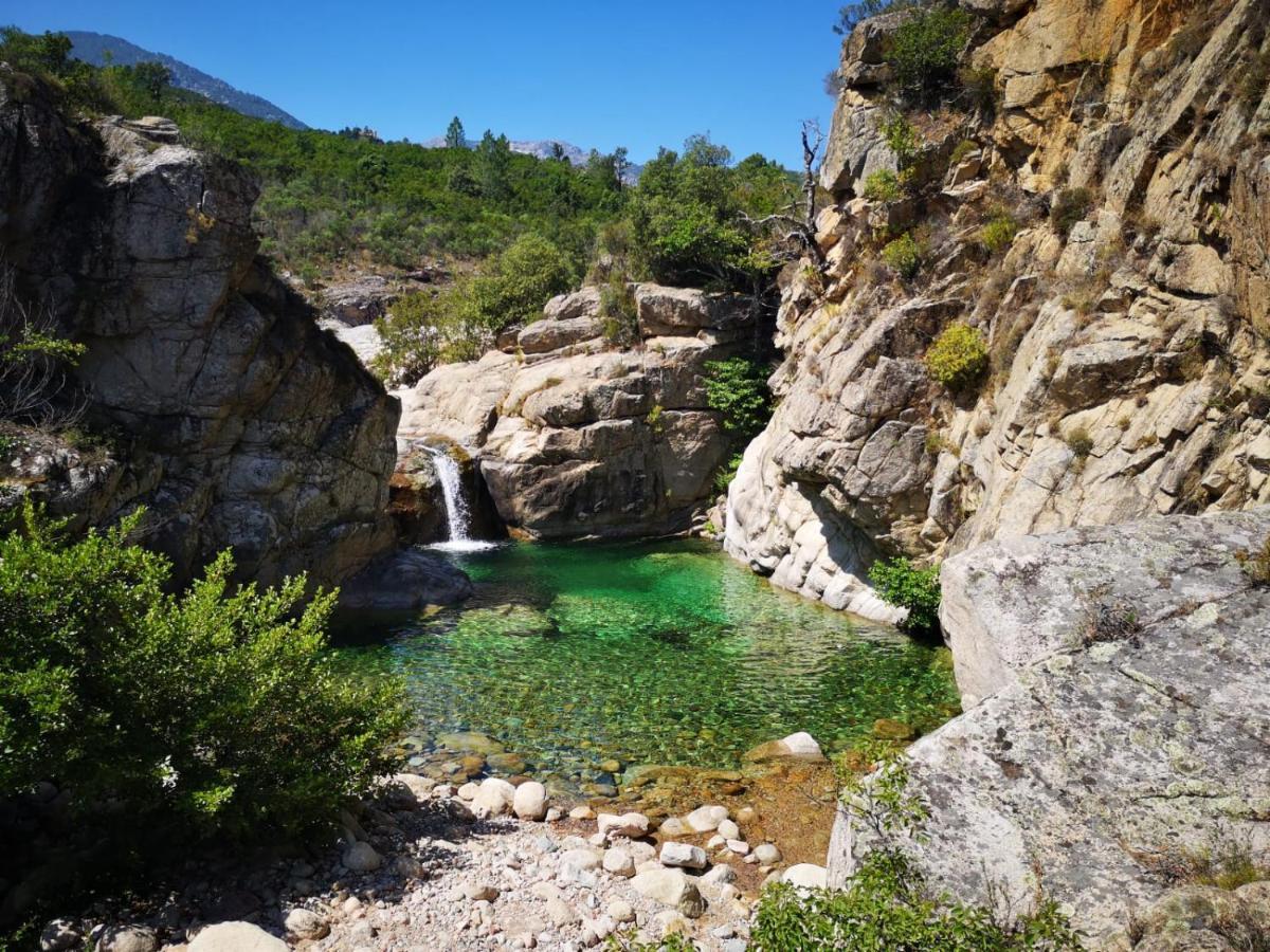 Un Petit Paradis Pinarellu Zewnętrze zdjęcie