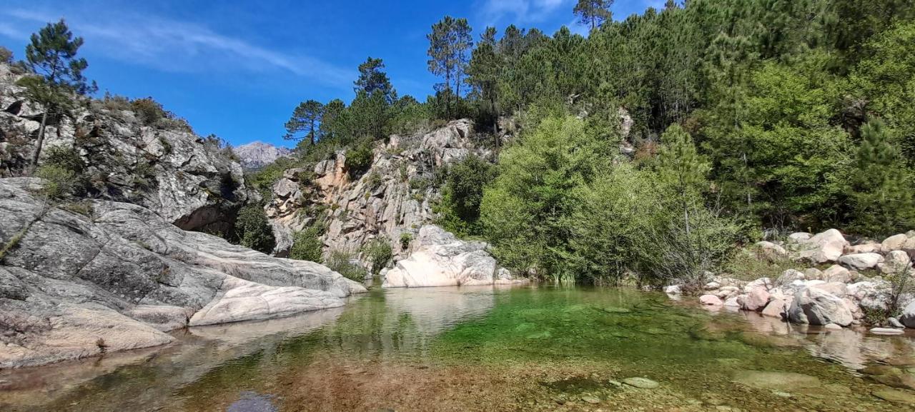 Un Petit Paradis Pinarellu Zewnętrze zdjęcie
